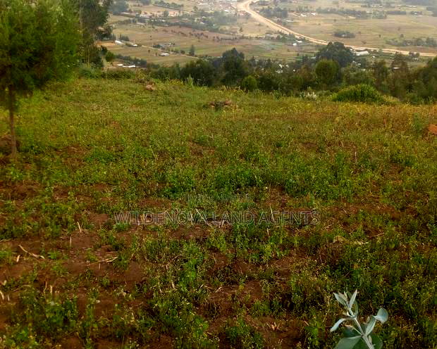 6 Acres on Sale at Heni Near Kio Secondary School