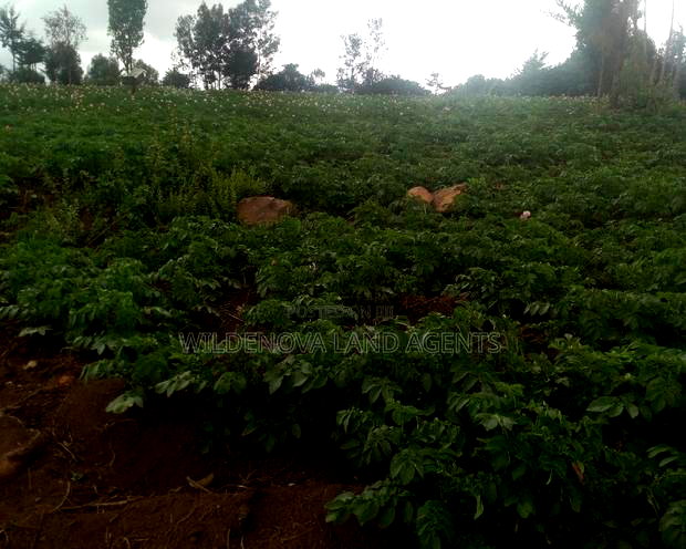 6 Acres on Sale at Heni Near Kio Secondary School