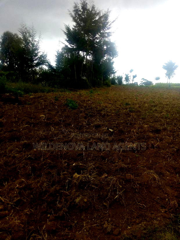 6 Acres on Sale at Heni Near Kio Secondary School