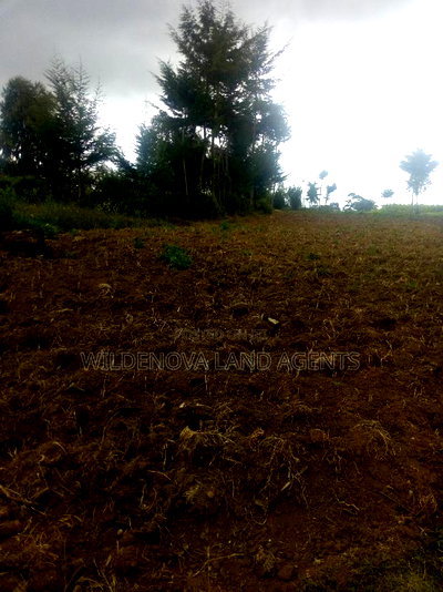6 Acres on Sale at Heni Near Kio Secondary School - Image 4