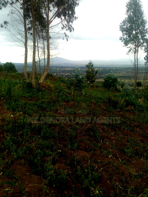 6 Acres on Sale at Heni Near Kio Secondary School