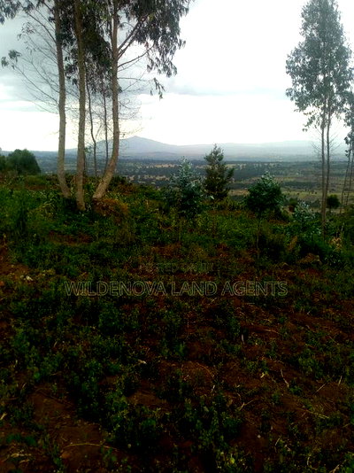 6 Acres on Sale at Heni Near Kio Secondary School - Image 5