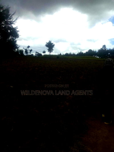 6 Acres on Sale at Heni Near Kio Secondary School - Image 3