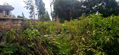 1/2 Acre Plot for Sale in Elgonview Eldoret - Image 5