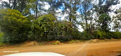 1/2 Acre Plot for Sale in Elgonview Eldoret - Image 6