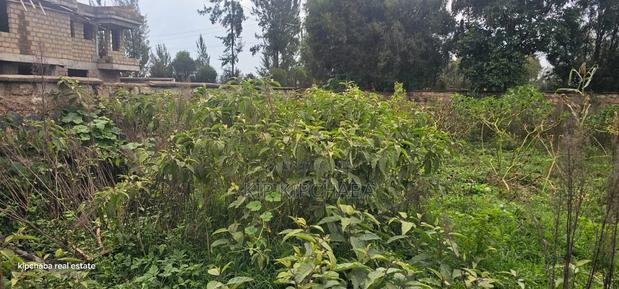 1/2 Acre Plot for Sale in Elgonview Eldoret