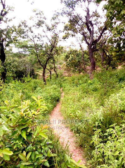 5 Acres, Riverfrontage ,Kalimani ,Kitui - Image 1