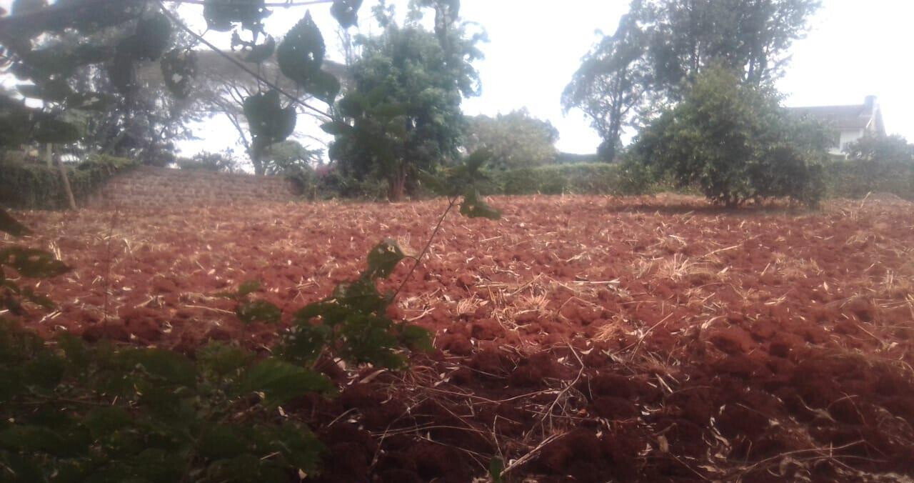 Half Acre in Ridgeways at KSh 38M
