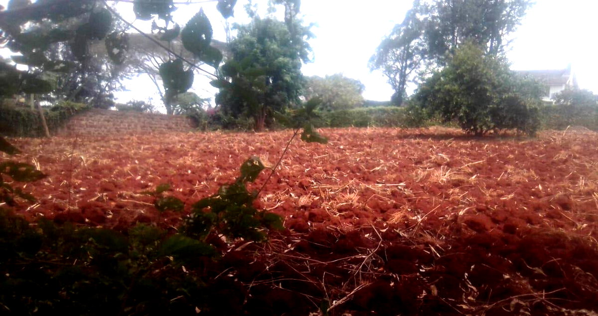 Half Acre in Ridgeways at KSh 38M