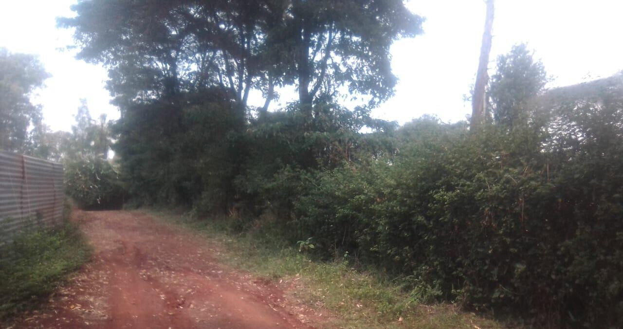 Half Acre in Ridgeways at KSh 38M