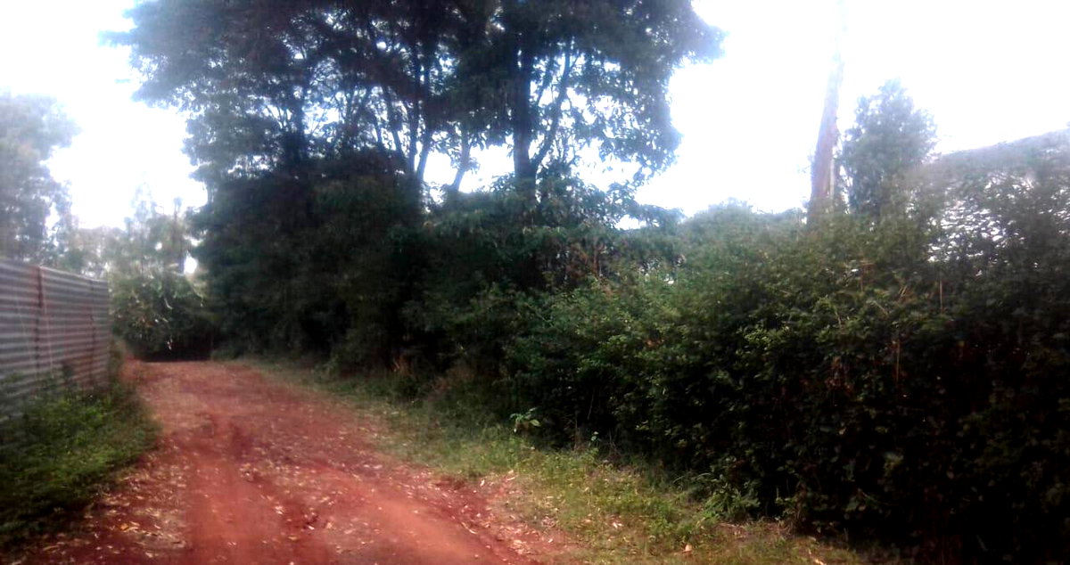 Half Acre in Ridgeways at KSh 38M