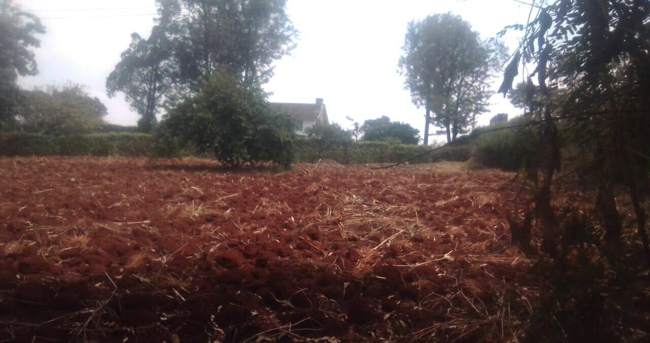 Half Acre in Ridgeways at KSh 38M