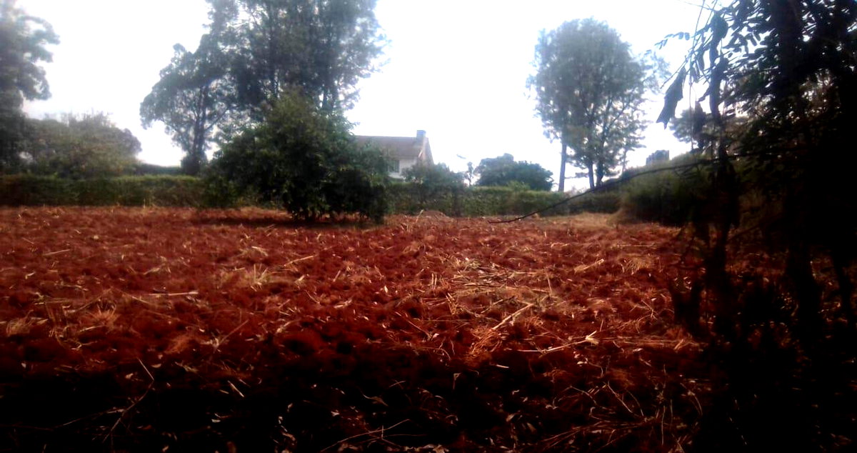 Half Acre in Ridgeways at KSh 38M