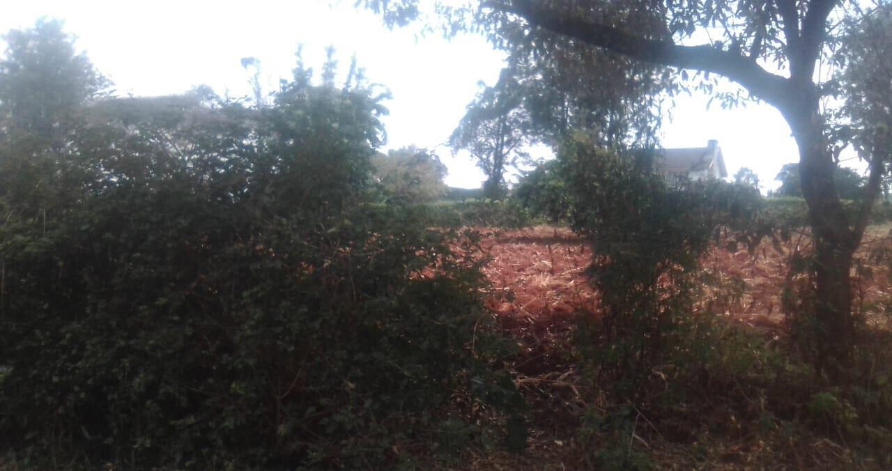 Half Acre in Ridgeways at KSh 38M