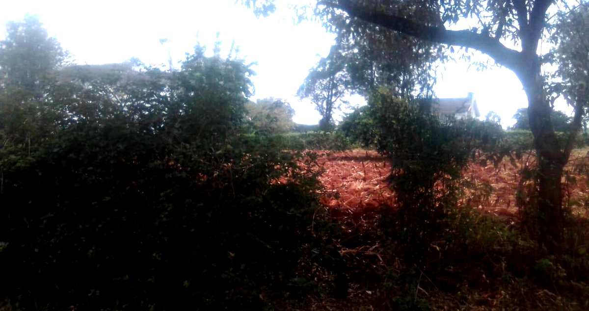 Half Acre in Ridgeways at KSh 38M