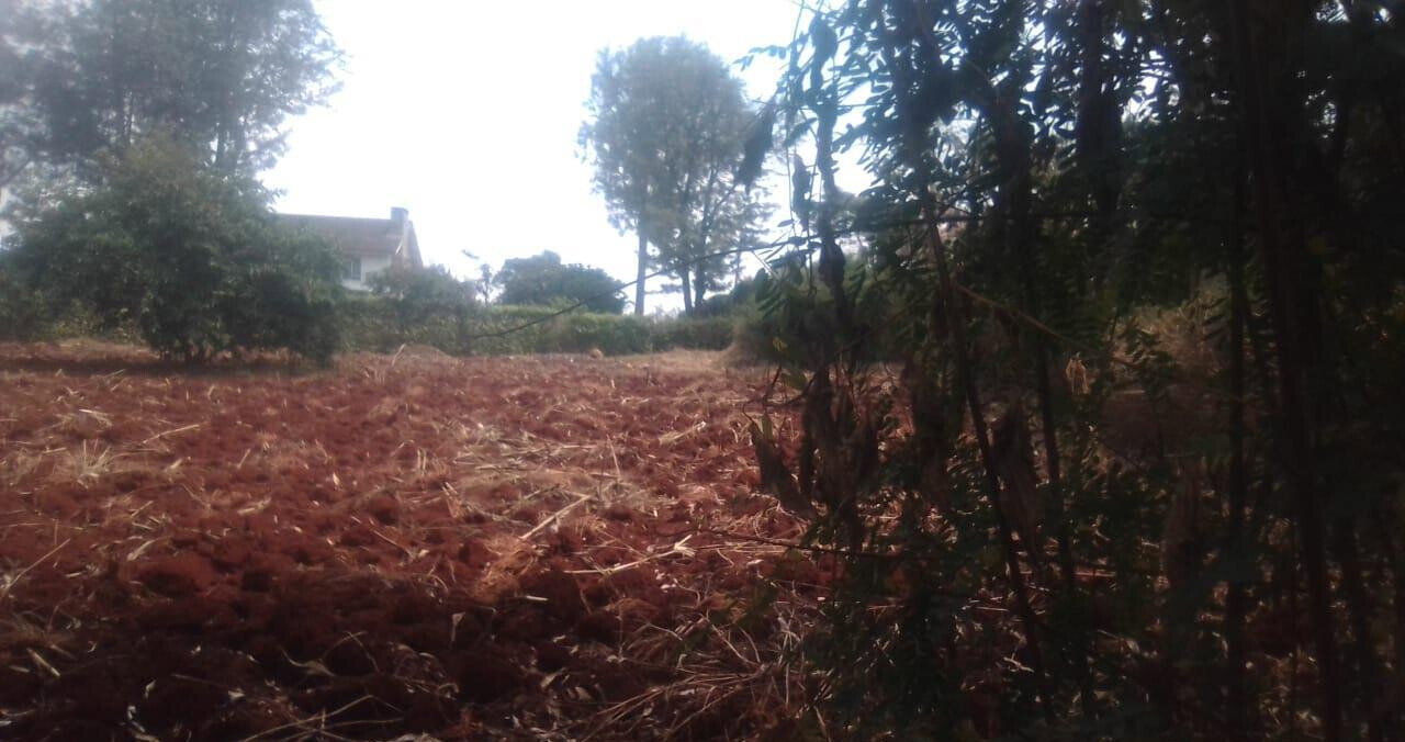 Half Acre in Ridgeways at KSh 38M