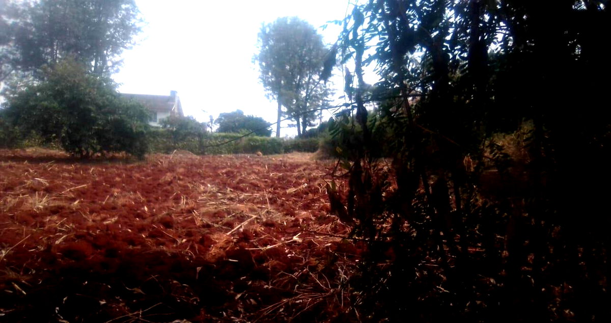 Half Acre in Ridgeways at KSh 38M