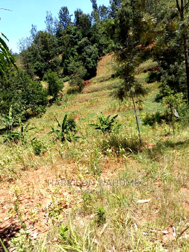 Murang'a: 1.58 Acres Gaturi Kangure for Sale