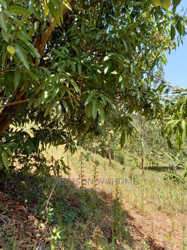 Murang'a: 1.58 Acres Gaturi Kangure for Sale