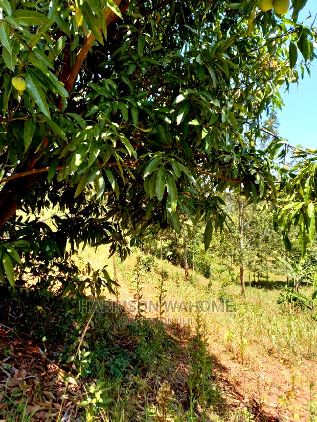 Murang'a: 1.58 Acres Gaturi Kangure for Sale
