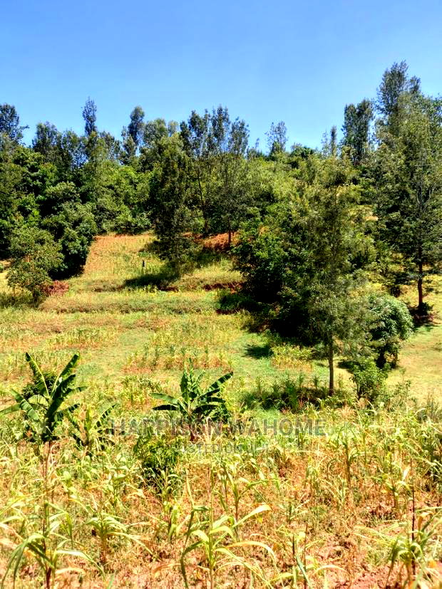 Murang'a: 1.58 Acres Gaturi Kangure for Sale