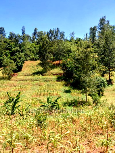 Murang'a: 1.58 Acres Gaturi Kangure for Sale - Image 4