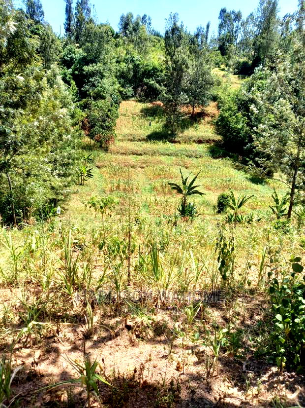 Murang'a: 1.58 Acres Gaturi Kangure for Sale