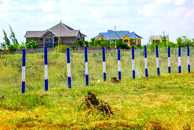 Touching Katani Rd - Image 2