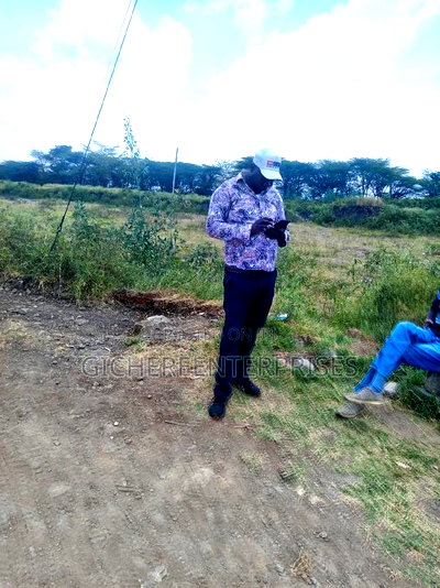 South C Carnivore - Image 2