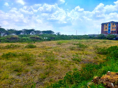 South C Carnivore - Image 4