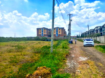 South C Carnivore - Image 1