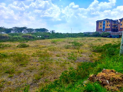 South C Carnivore - Image 3