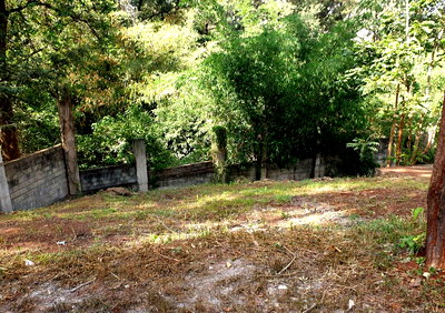 3/4 Acre Lavington Gem with Garden