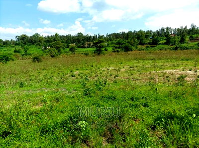 6 Acres Makutano - Mwea Junction for Lease - Image 6