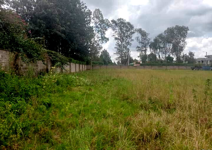 10-Acre Plot for KSh 55M