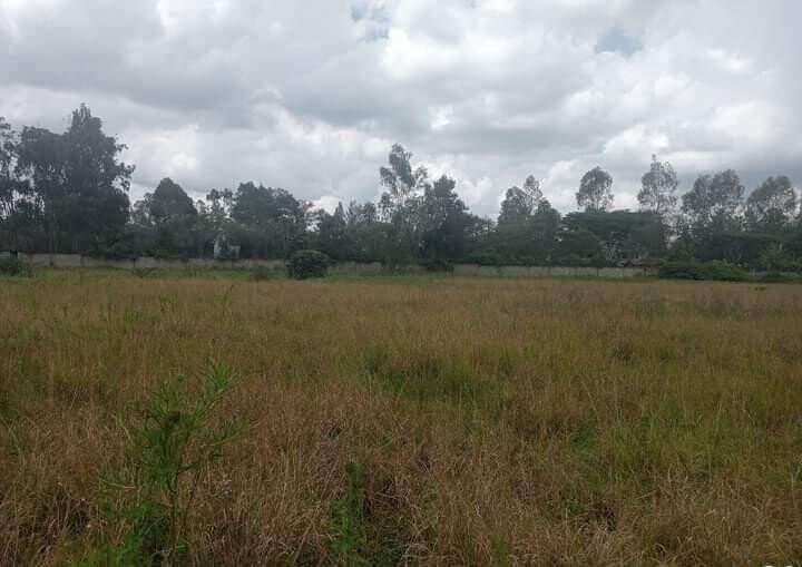 10-Acre Plot for KSh 55M