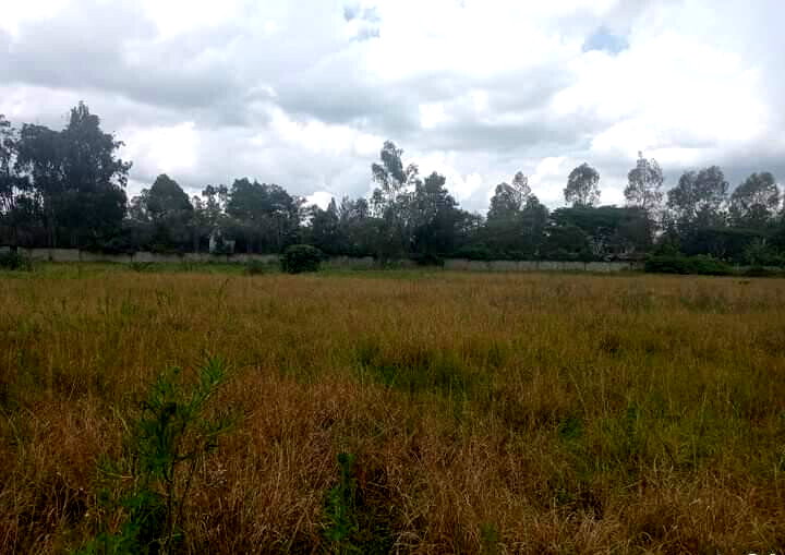 10-Acre Plot for KSh 55M