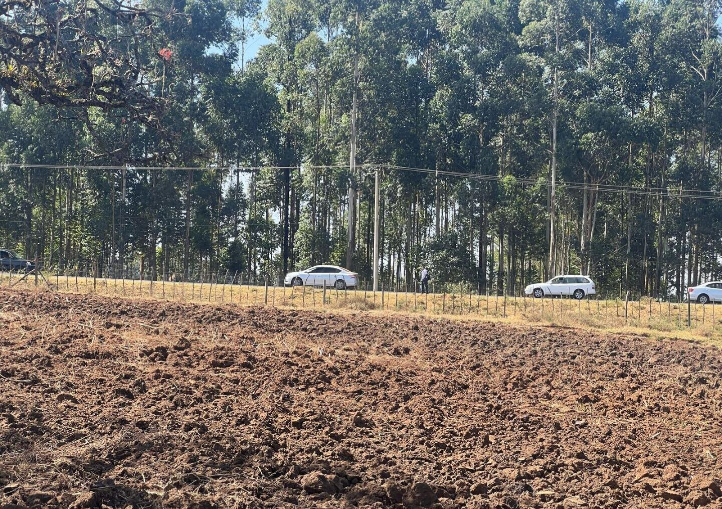 Half Acre Pet Friendly Plot in Kitale