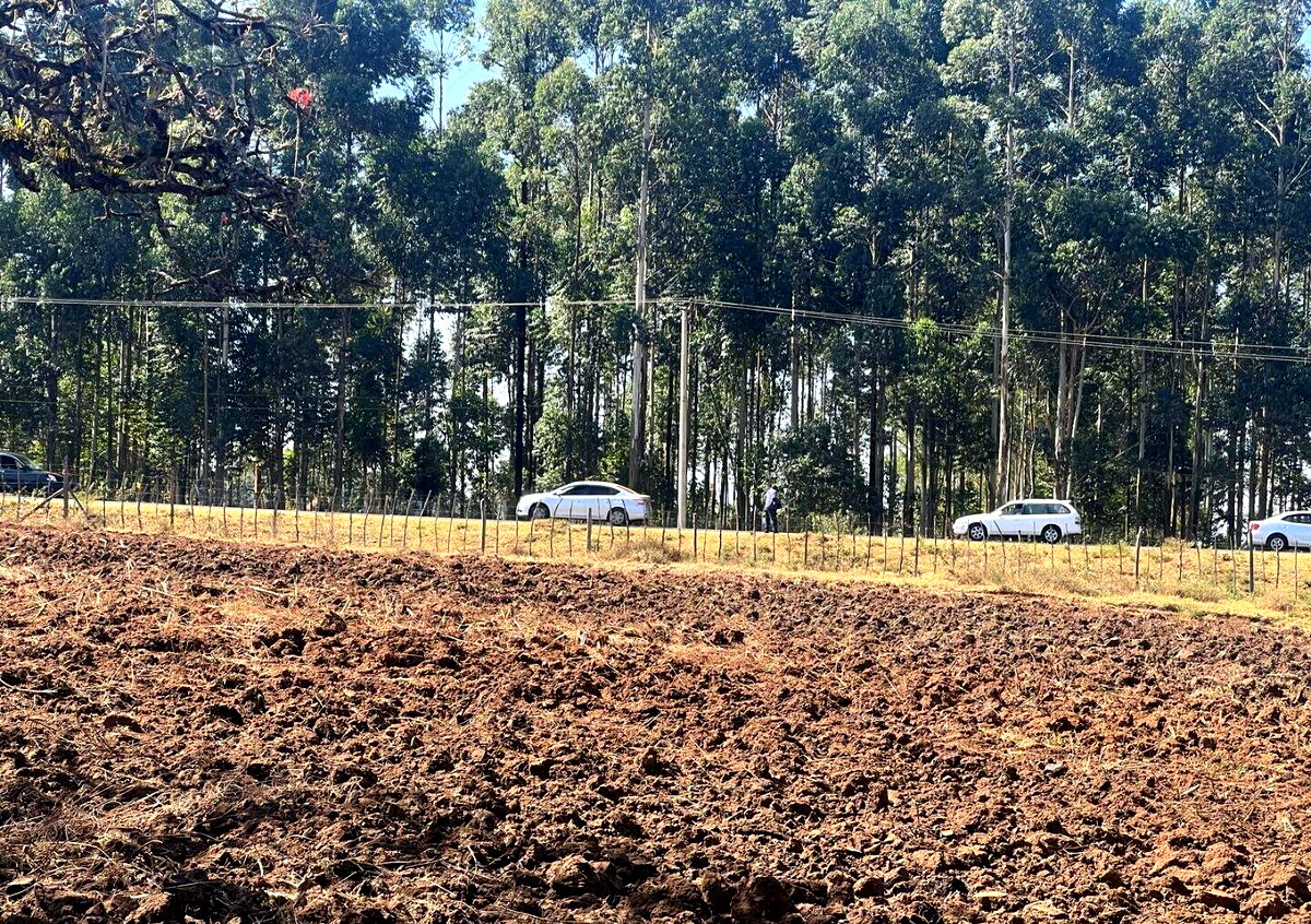 Half Acre Pet Friendly Plot in Kitale