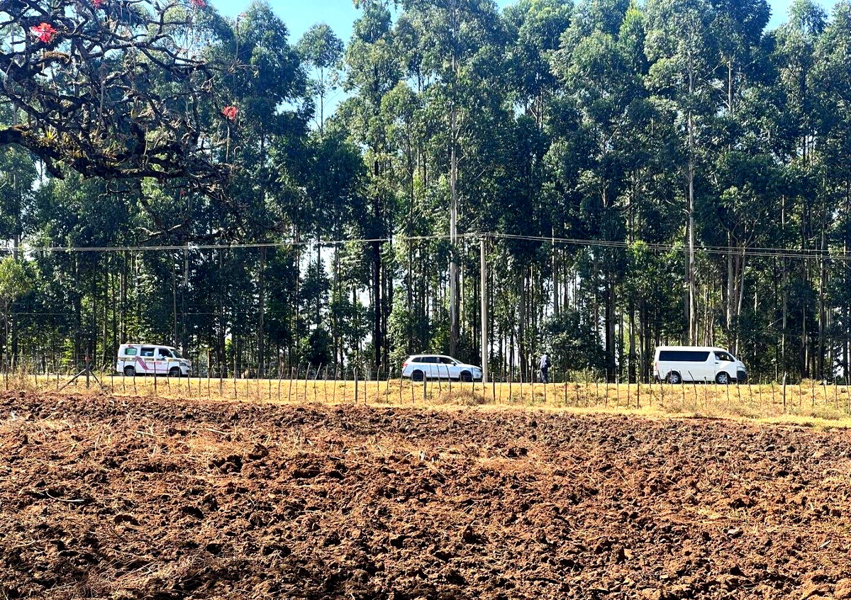 Half Acre Pet Friendly Plot in Kitale