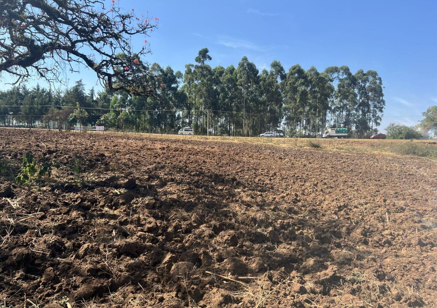Half Acre Pet Friendly Plot in Kitale