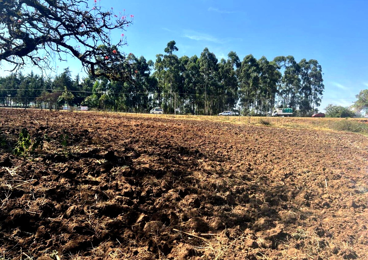 Half Acre Pet Friendly Plot in Kitale