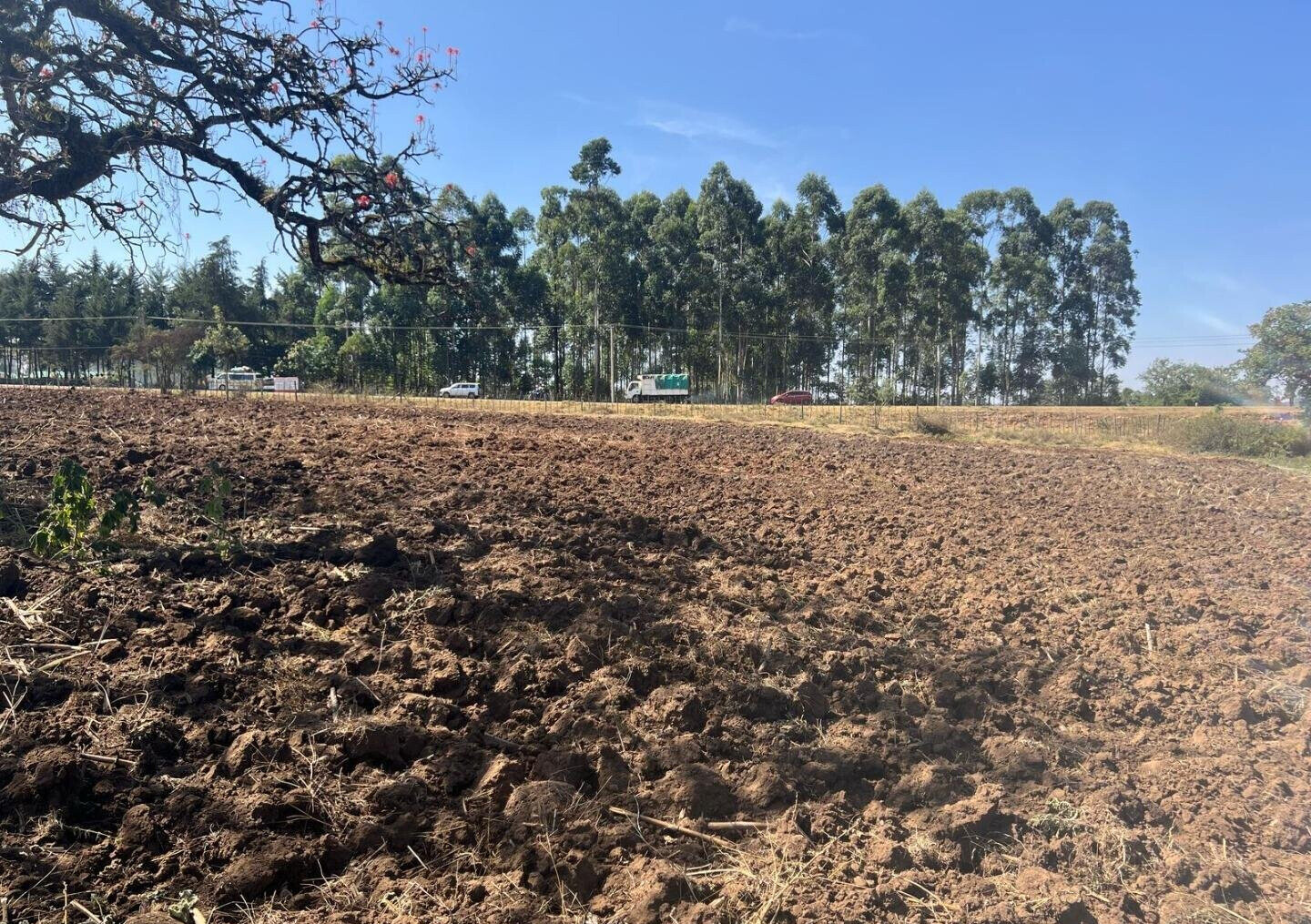 Half Acre Pet Friendly Plot in Kitale