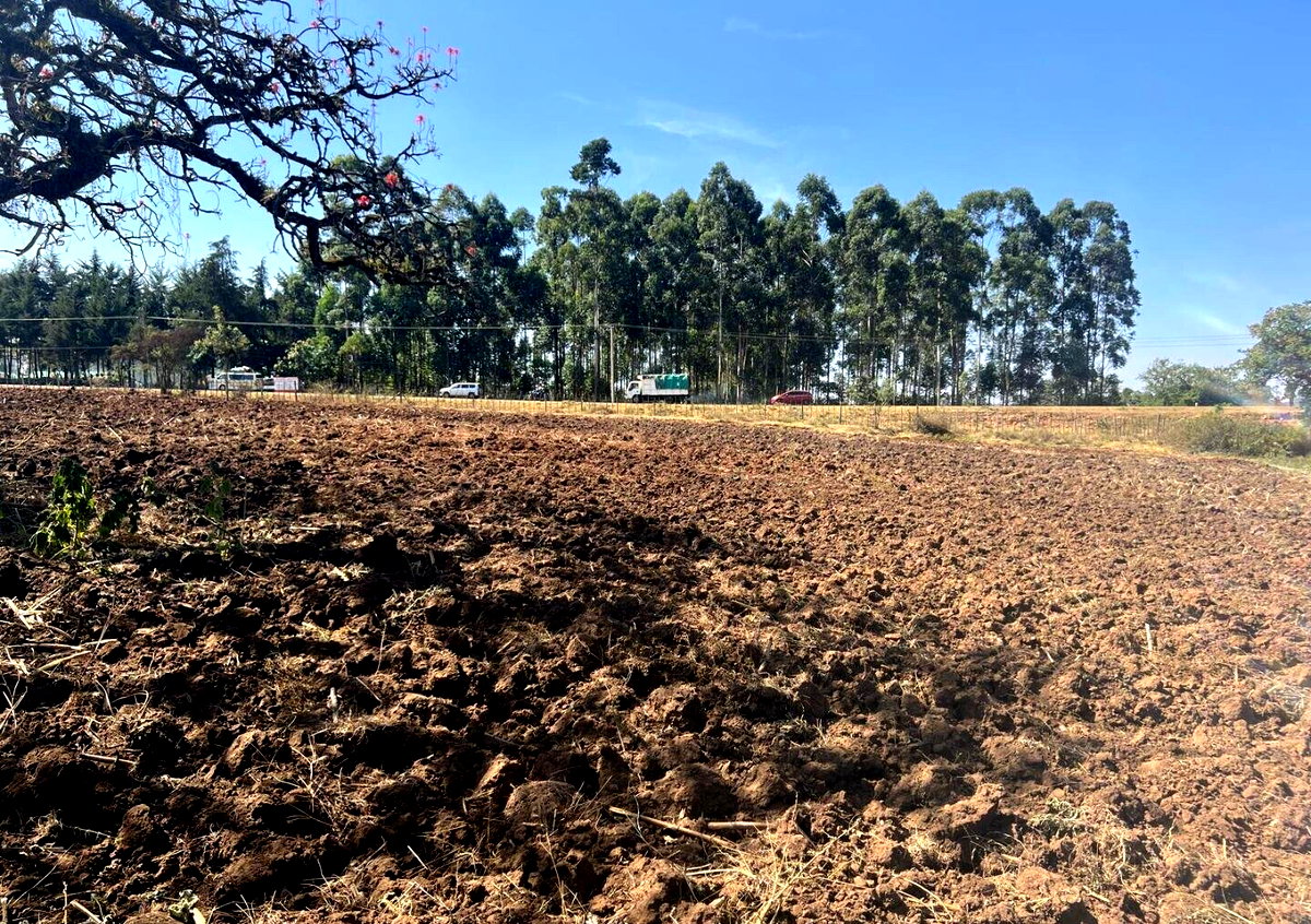 Half Acre Pet Friendly Plot in Kitale