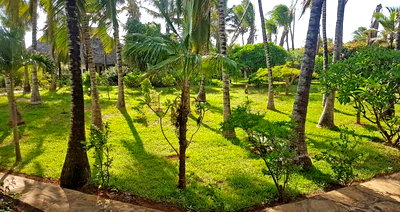 0.57 Acre Townhouse with Garden