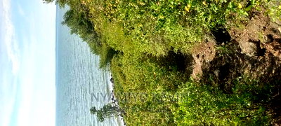 Kombe Beach Front - Image 1