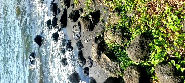 Kombe Beach Front