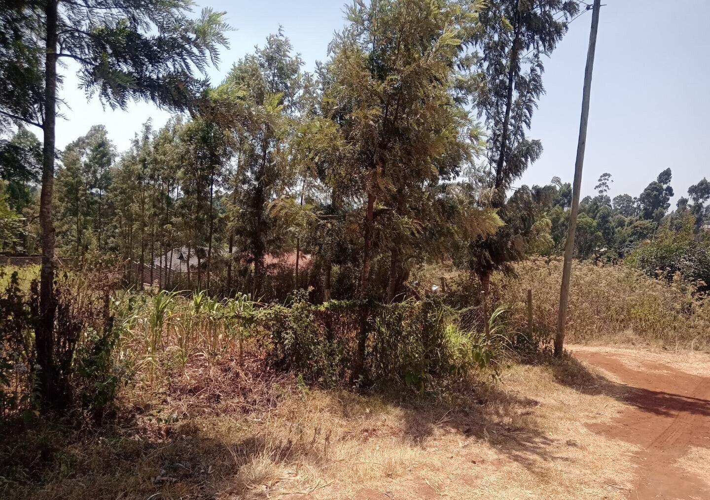 1/8 Acre Garden Plot at KSh 2M