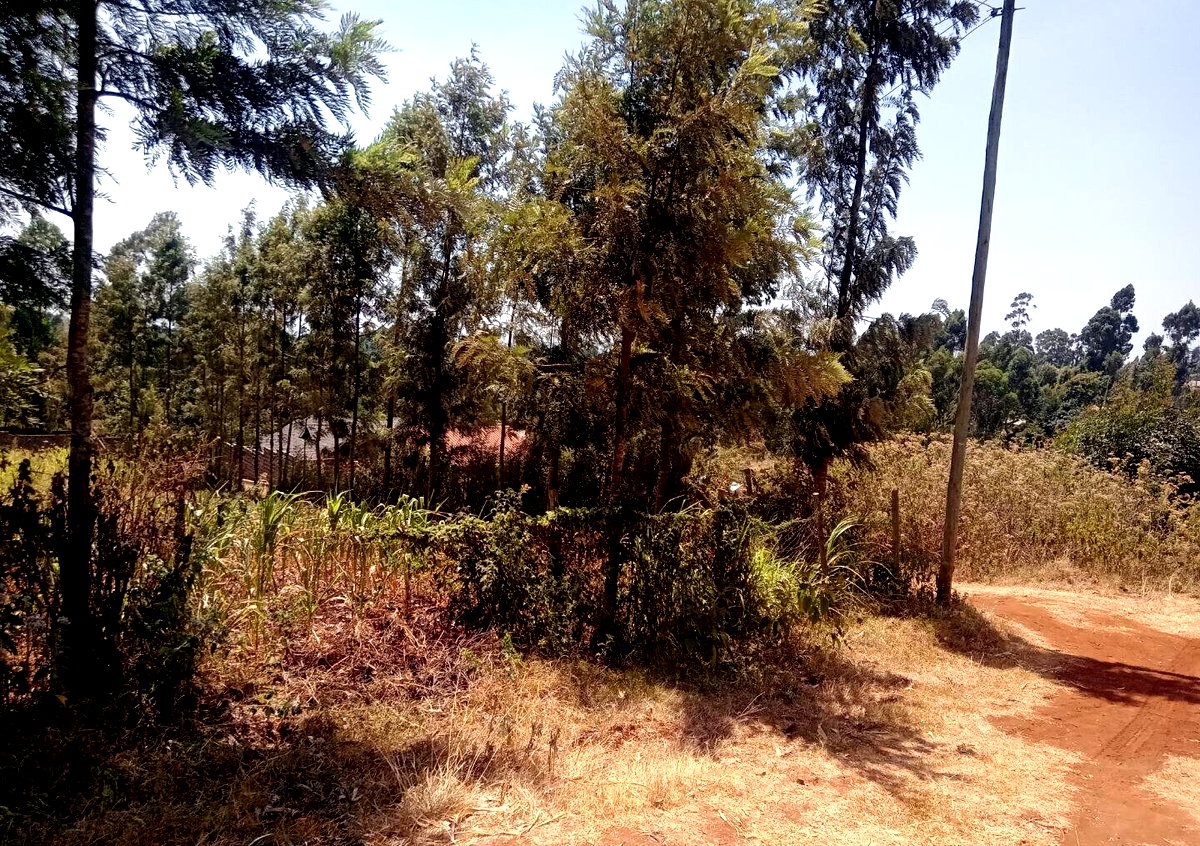 1/8 Acre Garden Plot at KSh 2M