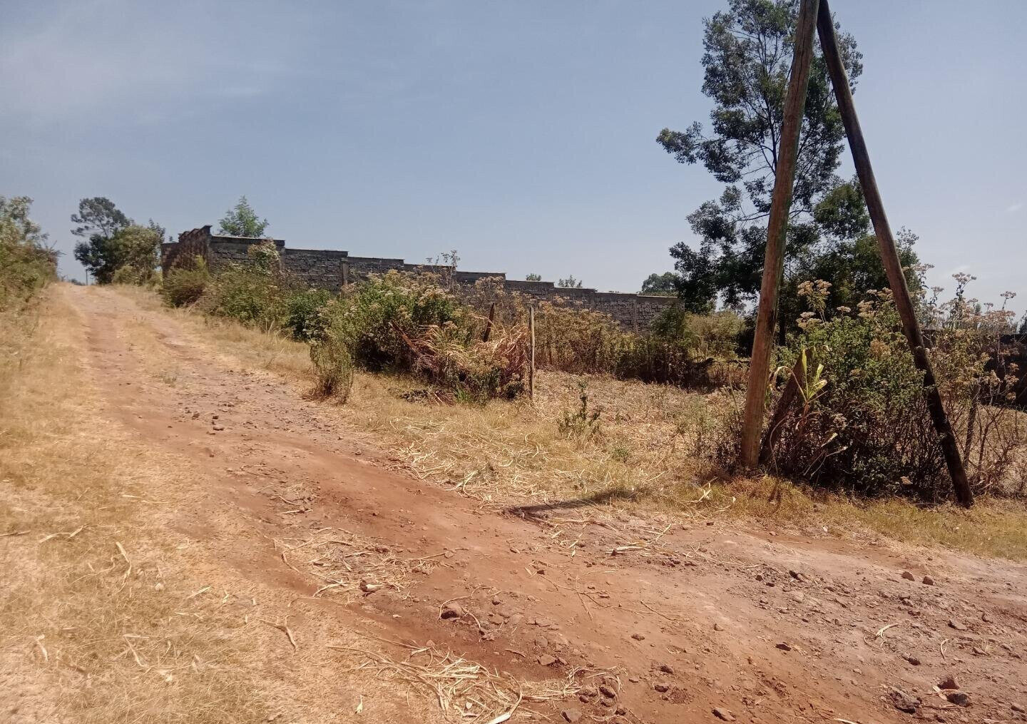 1/8 Acre Garden Plot at KSh 2M